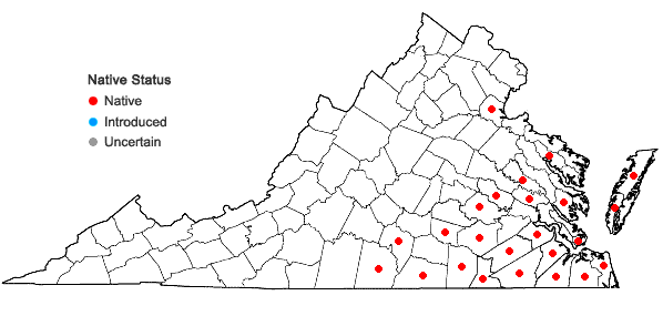Locations ofCyperus flavicomus Michaux in Virginia