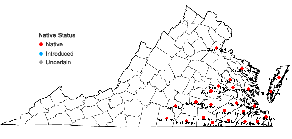 Locations ofCyperus flavicomus Michaux in Virginia