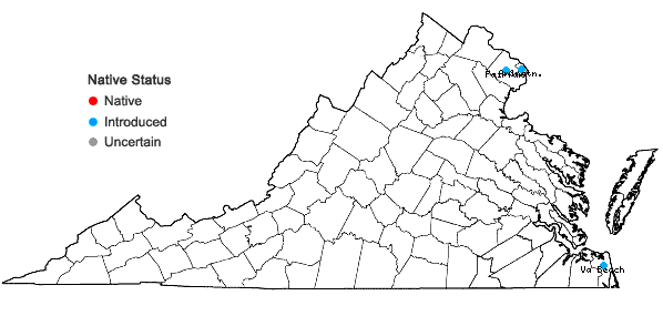 Locations ofCyperus fuscus L. in Virginia