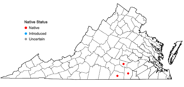 Locations ofCyperus granitophilus McVaugh in Virginia