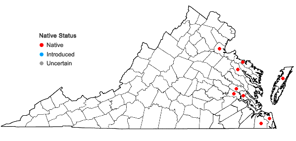 Locations ofCyperus haspan L. in Virginia