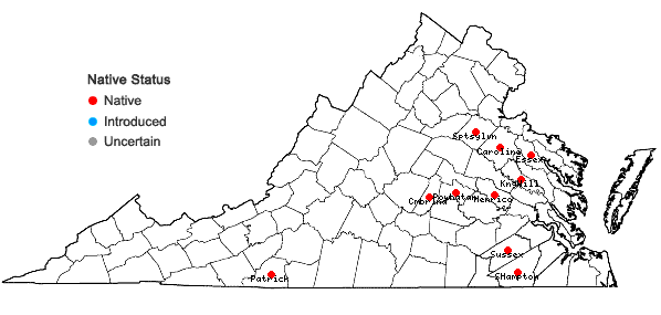 Locations ofCyperus hystricinus Fernald in Virginia