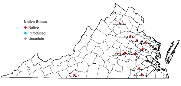 Locations ofCyperus hystricinus Fernald in Virginia