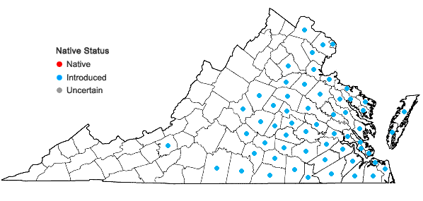 Locations ofCyperus iria L. in Virginia