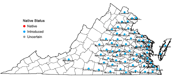 Locations ofCyperus iria L. in Virginia