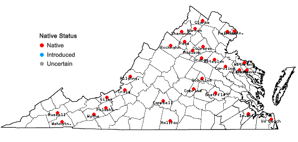 Locations ofCyperus lupulinus (Sprengel) Marcks ssp. lupulinus in Virginia