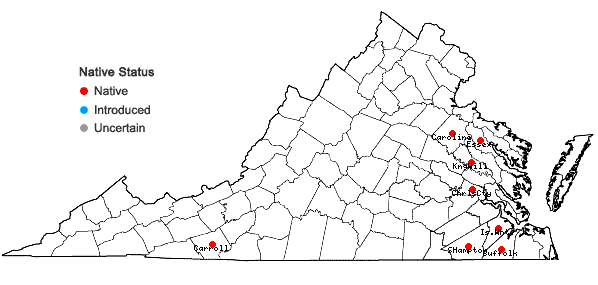 Locations ofCyperus lupulinus (Sprengel) Marcks ssp. macilentus Fernald in Virginia