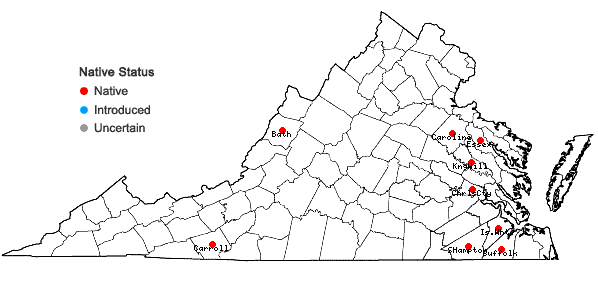 Locations ofCyperus lupulinus (Sprengel) Marcks ssp. macilentus Fernald in Virginia