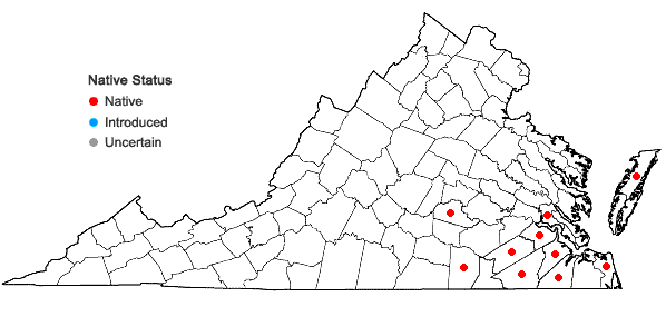 Locations ofCyperus neotropicalis Alain in Virginia