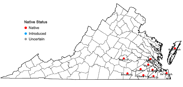 Locations ofCyperus neotropicalis Alain in Virginia