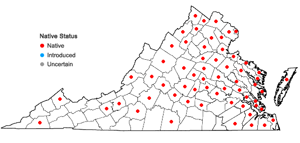 Locations ofCyperus odoratus L. var. odoratus in Virginia