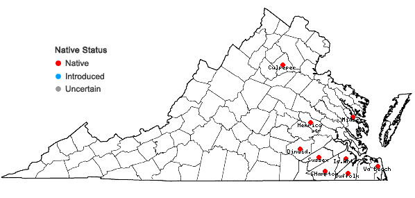 Locations ofCyperus plukenetii Fernald in Virginia