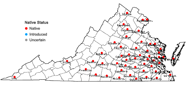 Locations ofCyperus retrofractus (L.) Torrey in Virginia