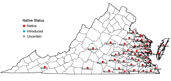 Locations ofCyperus retrorsus Chapman in Virginia