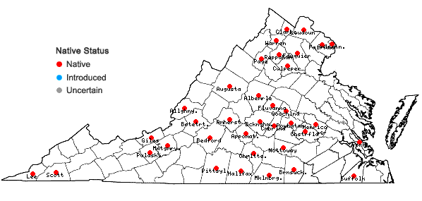 Locations ofCyperus squarrosus L. var. squarrosus in Virginia