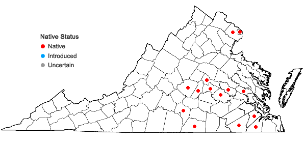 Locations ofCyperus subsquarrosus (Muhl.) Bauters in Virginia