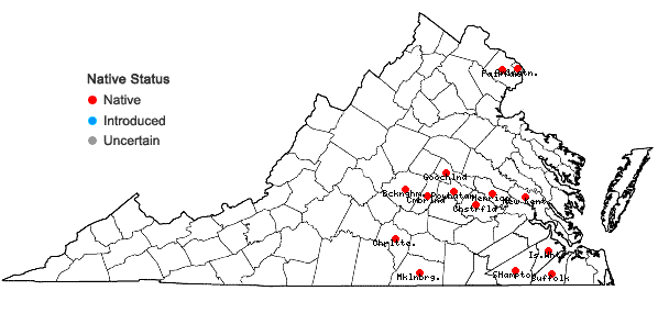 Locations ofCyperus subsquarrosus (Muhl.) Bauters in Virginia