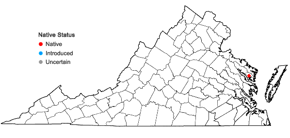 Locations ofCypripedium kentuckiense C.F.Reed in Virginia