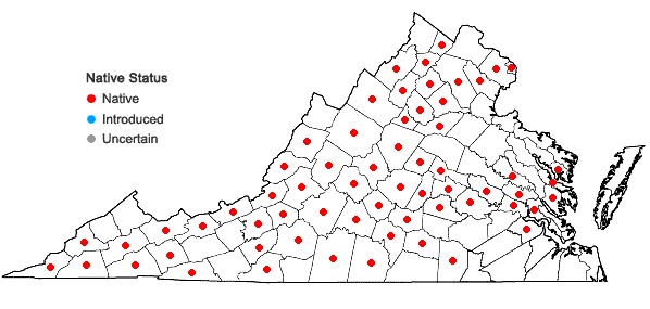 Locations ofCypripedium parviflorum Salisb. var. pubescens (Willd.) Knight in Virginia