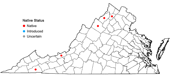 Locations ofCypripedium reginae Walter in Virginia