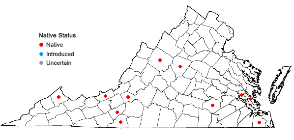 Locations ofCyrto-hypnum minutulum (Hedw.) W.R. Buck & H.A. Crum in Virginia