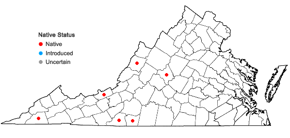 Locations ofCyrto-hypnum pygmaeum (Schimper) W. R. Buck & H. A. Crum in Virginia