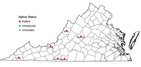 Locations ofCyrto-hypnum pygmaeum (Schimper) W. R. Buck & H. A. Crum in Virginia