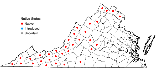 Locations ofCystopteris bulbifera (L.) Bernh. in Virginia