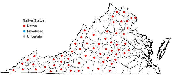 Locations ofCystopteris protrusa (Weatherby) Blasdell in Virginia