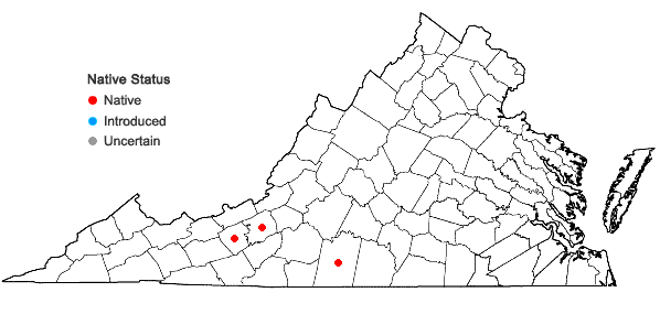 Locations ofCystopteris tennesseensis Shaver in Virginia