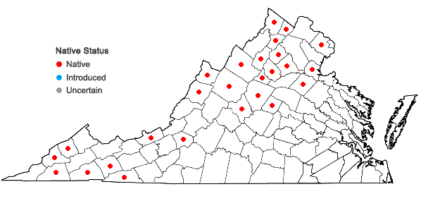 Locations ofCystopteris tenuis (Michx.) Desv. in Virginia