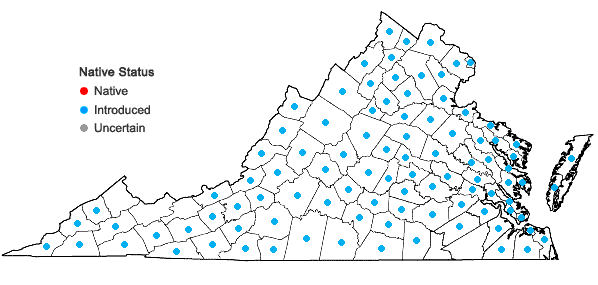 Locations ofDactylis glomerata L. in Virginia