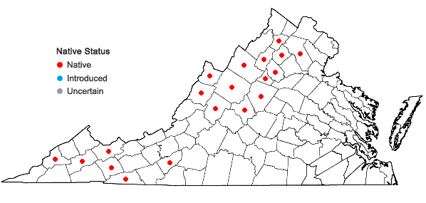 Locations ofDactylorhiza viridis (L.) R.M. Bateman Pridgeon, & M.W. Chase in Virginia