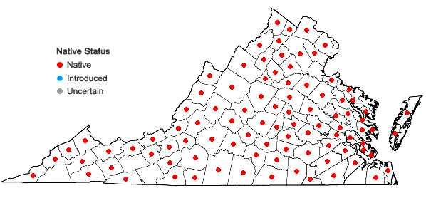 Locations ofDanthonia spicata (L.) Beauv. ex Roemer & J.A. Schultes in Virginia