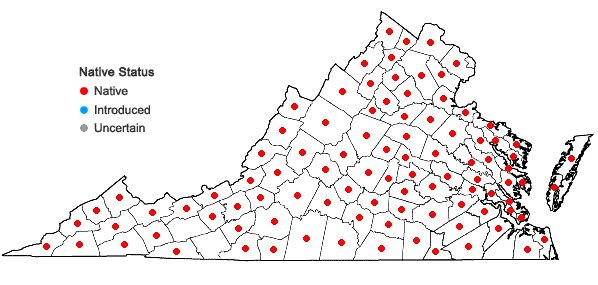 Locations ofDanthonia spicata (L.) Beauv. ex Roemer & J.A. Schultes in Virginia