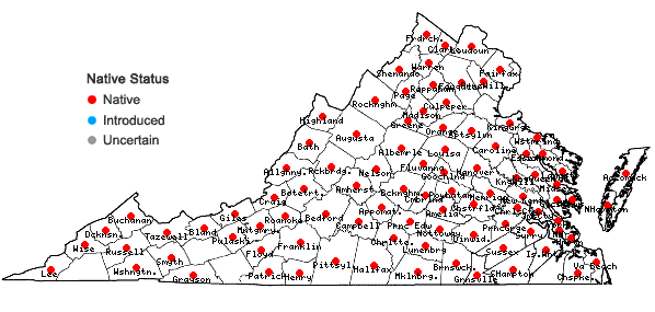 Locations ofDanthonia spicata (L.) Beauv. ex Roemer & J.A. Schultes in Virginia