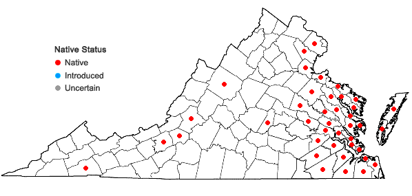 Locations ofDecodon verticillatus (L.) Ell. in Virginia
