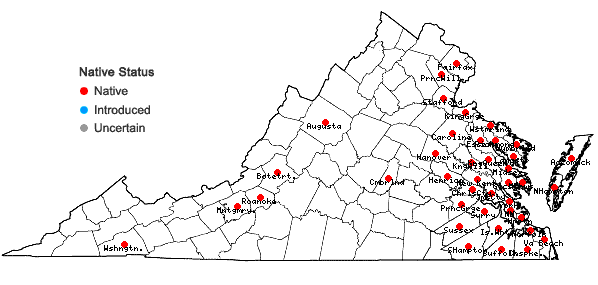 Locations ofDecodon verticillatus (L.) Ell. in Virginia