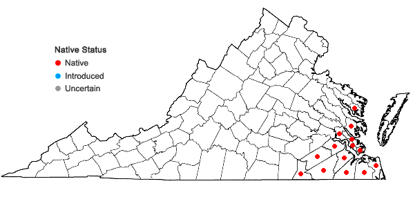 Locations ofDecumaria barbara L. in Virginia