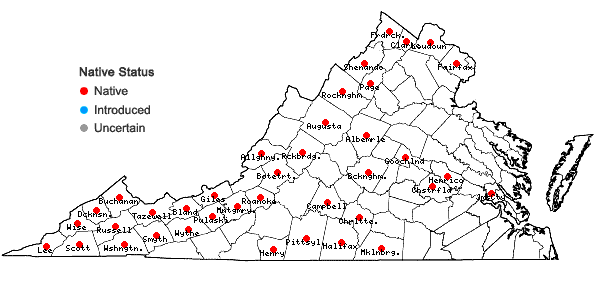 Locations ofDelphinium tricorne Michx. in Virginia