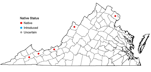 Locations ofDendrolycopodium dendroideum (Michx.) A. Haines in Virginia