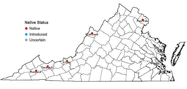 Locations ofDendrolycopodium dendroideum (Michx.) A. Haines in Virginia