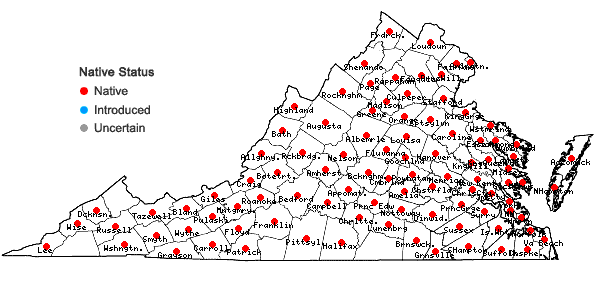 Locations ofDendrolycopodium obscurum (L.) A. Haines in Virginia