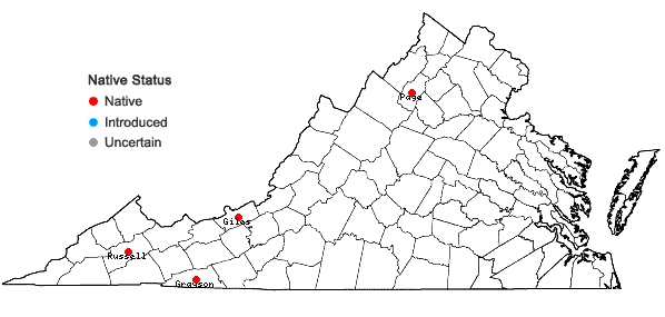 Locations ofDeschampsia cespitosa (L.) Beauv. in Virginia