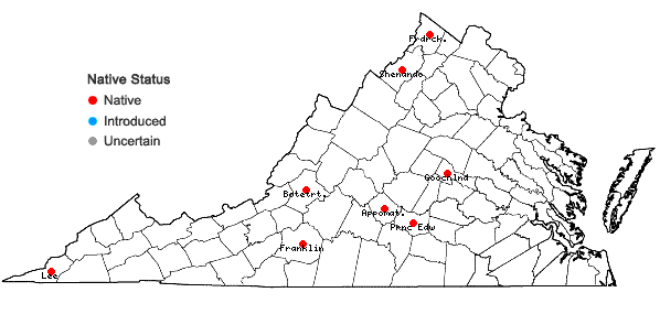 Locations ofDescurainia pinnata (Walter) Britton var. brachycarpa (Richardson) Fernald in Virginia