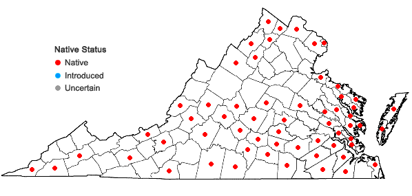 Locations ofDesmodium canescens (L.) DC. in Virginia