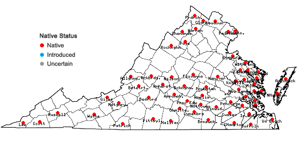 Locations ofDesmodium canescens (L.) DC. in Virginia