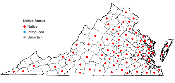 Locations ofDesmodium ciliare (Muhl. ex Willd.) DC. in Virginia