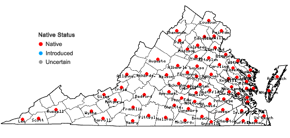 Locations ofDesmodium ciliare (Muhl. ex Willd.) DC. in Virginia