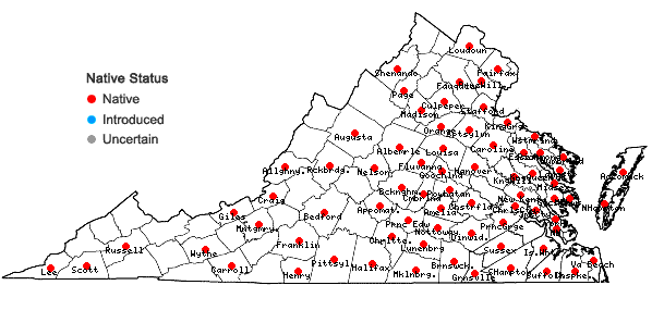 Locations ofDesmodium ciliare (Muhl. ex Willd.) DC. in Virginia